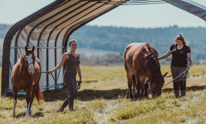 ShelterLogic Weidezelt